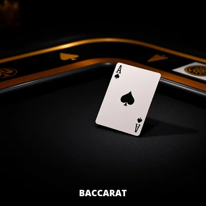 Baccarat live game on the BetBhai9 casino floor
